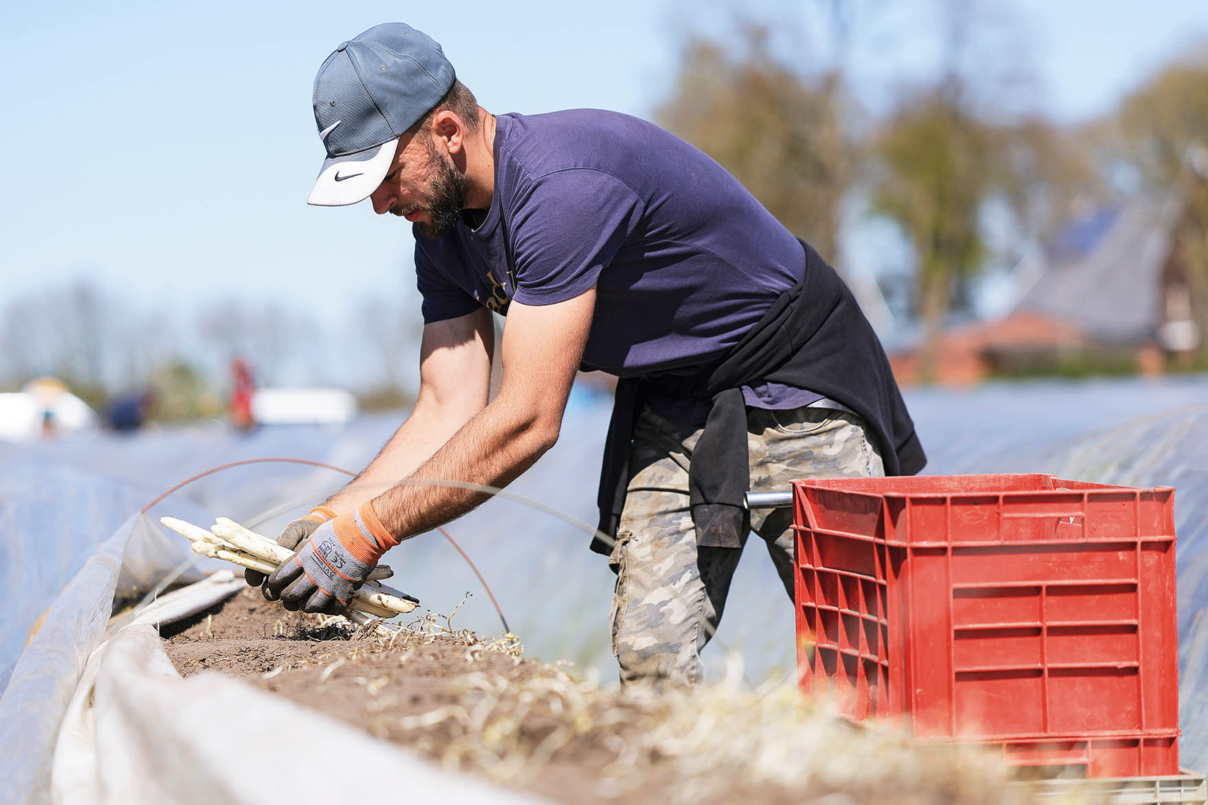 德国经济的“土耳其引擎”