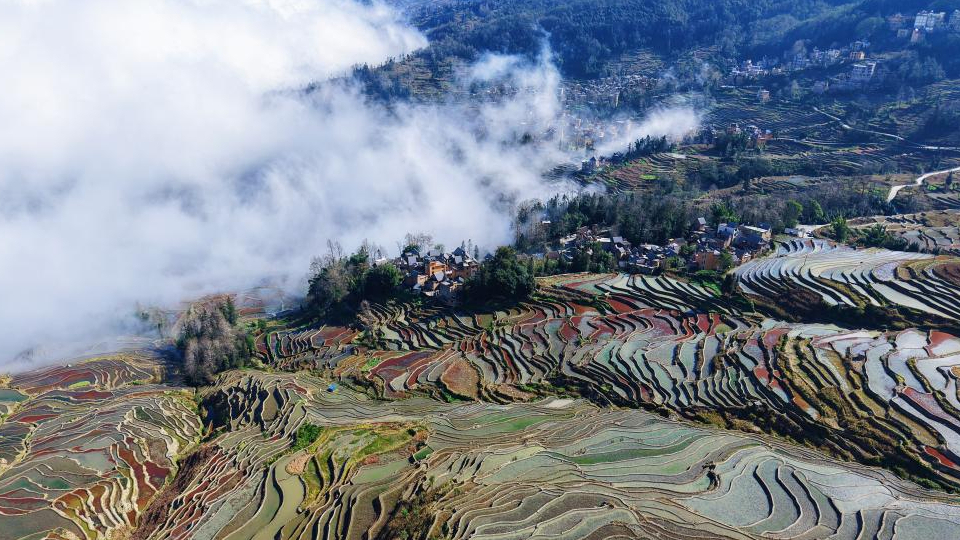 人勤春早 不负春光——立春时节农耕一线见闻