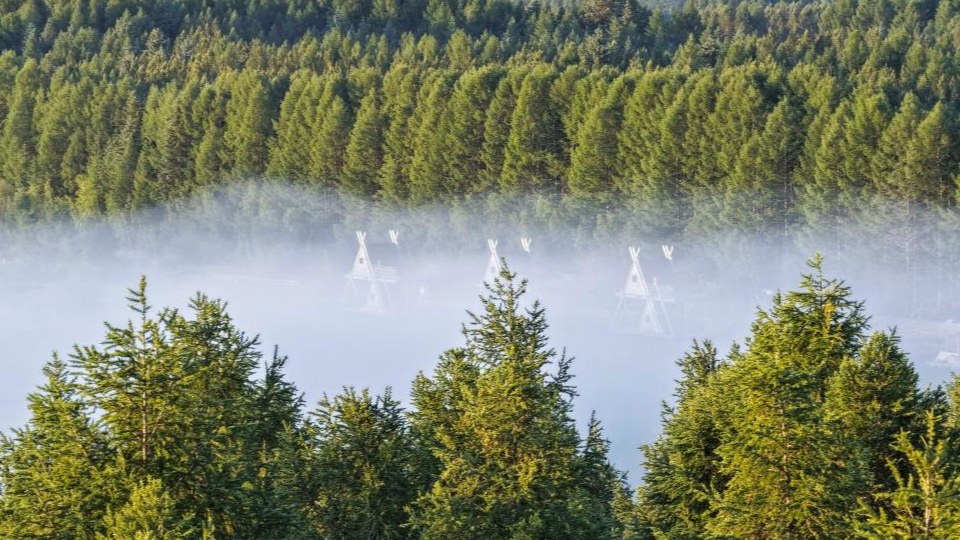 新华鲜报 | 春已至！“植”绿山河
