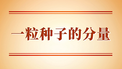一粒种子的分量