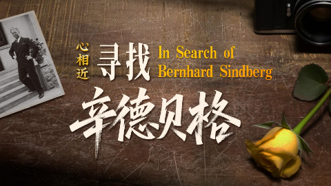 寻找辛德贝格