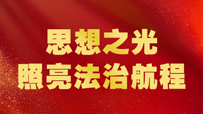 习近平法治思想引领新时代法治中国建设述评