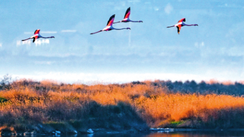 全方位全地域全过程保护生态环境
