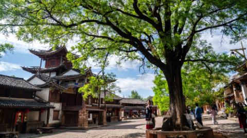 与古为新 文脉绵长