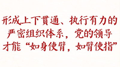 铸魂强党丨健全上下贯通执行有力的组织体系