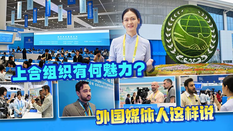 上海合作组织有何魅力？ 外国媒体人这样说